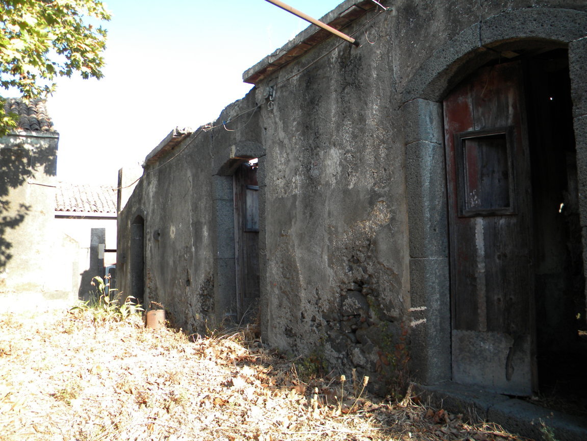 DSCN7992 .JPG